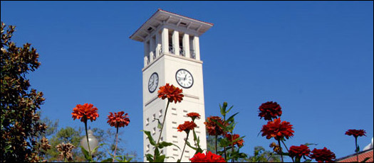 Home Page Image